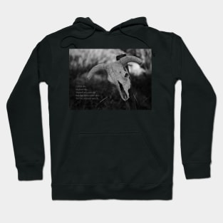 Viking Saying Hoodie